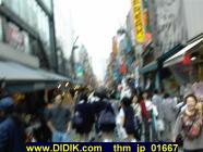 thm_jp_01667.jpg