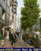 thm_jp_006159.jpg