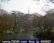 thm_jp_006867.jpg