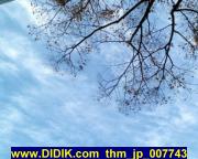 thm_jp_007743.jpg