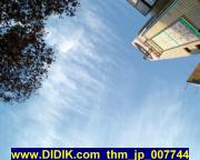 thm_jp_007744.jpg