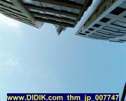 thm_jp_007747.jpg