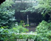 thm_IM009008.jpg