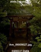 thm_IM009027.jpg