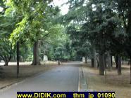 thm_jp_01090.jpg