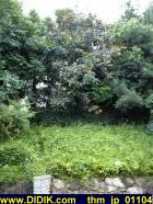 thm_jp_01104.jpg