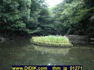 thm_jp_01271.jpg