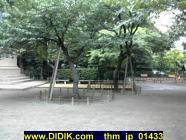 thm_jp_01433.jpg