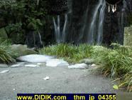 thm_jp_04355.jpg