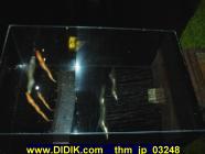 thm_jp_03248.jpg