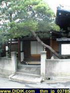 thm_jp_03785.jpg