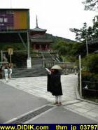 thm_jp_03797.jpg