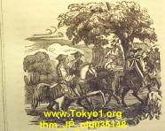 thm_JP_old035148.jpg