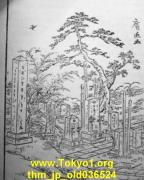 thm_jp_old036524.jpg