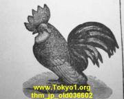 thm_jp_old036602.jpg