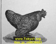 thm_jp_old036603.jpg