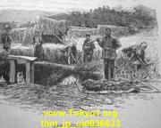 thm_jp_old036633.jpg