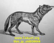 thm_jp_old036644.jpg