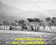 thm_JP_old035181B.jpg