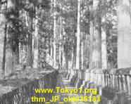 thm_JP_old035183.jpg