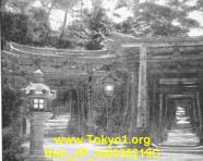 thm_JP_old035219C.jpg
