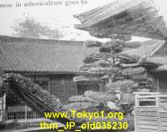 thm_JP_old035230.jpg