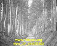 thm_JP_old035243.jpg