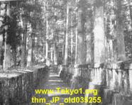 thm_JP_old035255.jpg