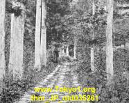thm_JP_old035261.jpg