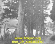 thm_JP_old035301C.jpg