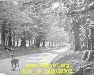 thm_JP_old035302.jpg