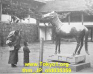 thm_JP_old035359.jpg