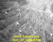 thm_JP_old035385.jpg