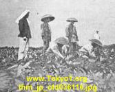 thm_jp_old036116.jpg