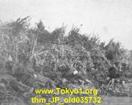 thm_JP_old035732.jpg