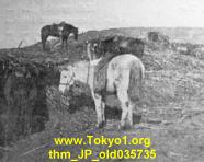 thm_JP_old035735.jpg