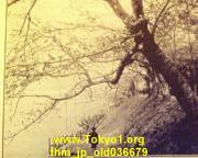 thm_jp_old036679.jpg