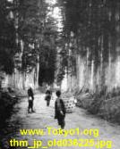 thm_jp_old036225.jpg