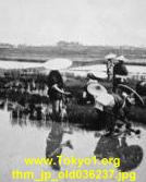 thm_jp_old036237.jpg