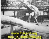 thm_jp_old036256.jpg