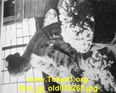 thm_jp_old036263.jpg