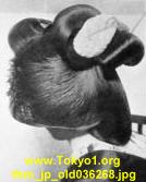 thm_jp_old036268.jpg