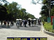 thm_jp_02503.jpg