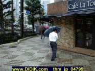 thm_jp_04799.jpg