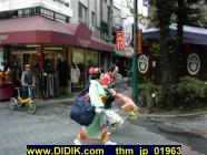 thm_jp_01963.jpg