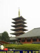 thm_jp_01981.jpg
