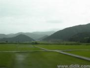 thm_DSC00038.jpg