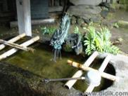 thm_DSC00079.jpg