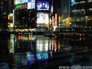thm_DSC00486.jpg