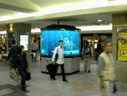 thm_DSC00494.jpg